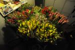 BEKER     (72)